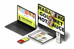 Website Design & E-Commerce Optimization for an Artisan Hot Sauce Brand